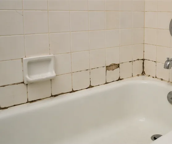 Bathroom tub and tile shower surround inspected