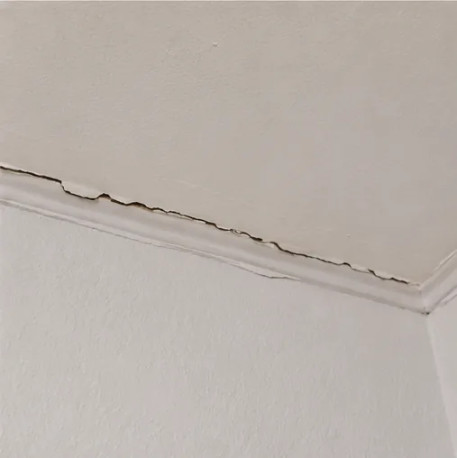 Hairline foundation crack found during inspection